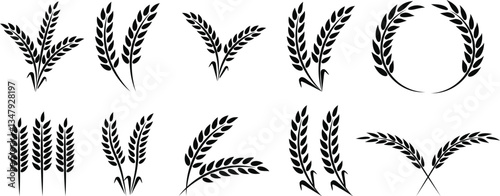 Wheats ears icon set and wheat design elements flat line vector collection isolated on transparent background. Harvest wheat grain, growth rice stalk and whole bread grains or field cereal nutritious.