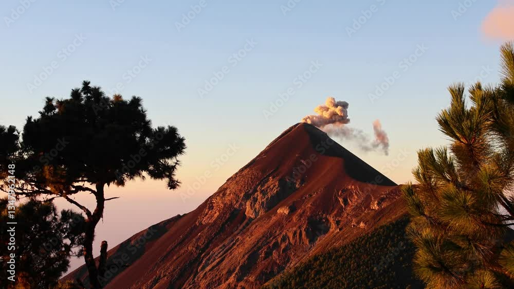 view of fuego volcano peak with smoke rising recent eruption (erupting volcanic ash lava fire) active seismic geothermal activity in antigua guatemala with trees (pyroclastic flow) hike acatenango