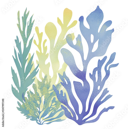 PNG Watercolor seaweed art illustration plants.