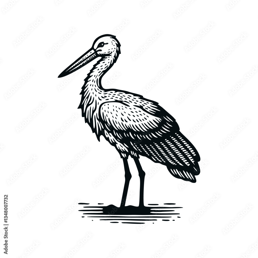 Fototapeta premium Stork Bird engrave logo icon design illustration