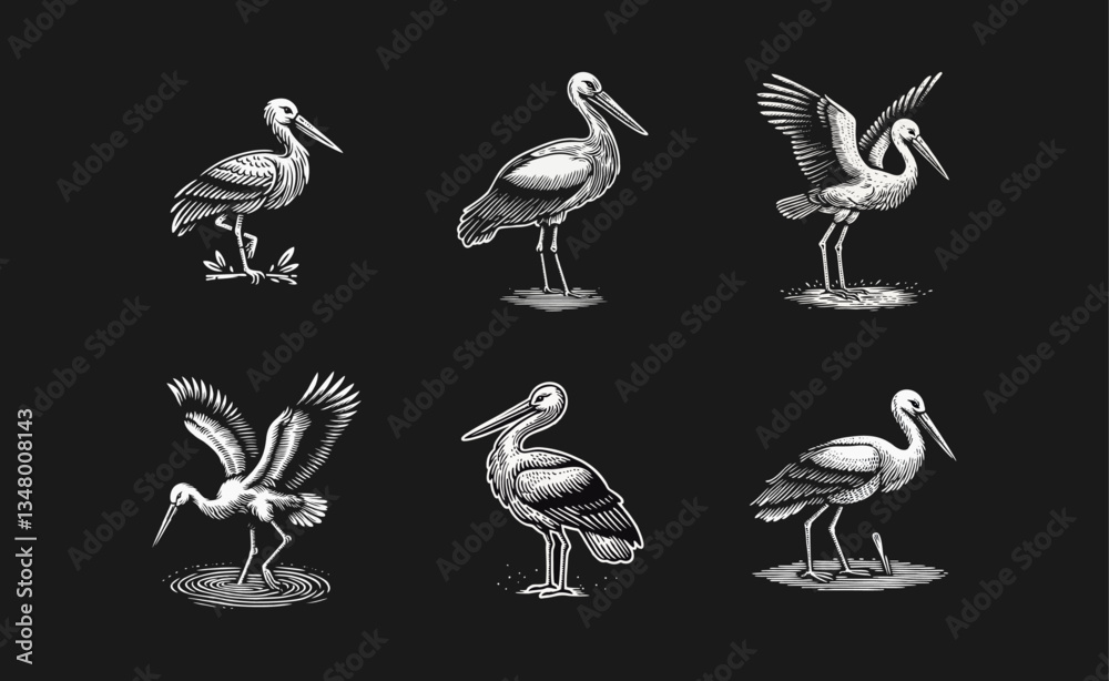 Fototapeta premium Stork Bird engrave logo icon design illustration