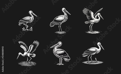 Stork Bird engrave logo icon design illustration