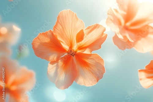 Bright Orange Marigold Flowers Against a Soft Blurry Background photo
