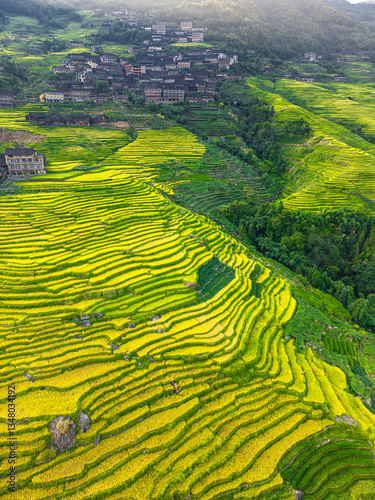 Obraz na płótnie Longji Rice Terraces in Longsheng, or called Longsheng Rice Terraces, Guangxi, China w salonie