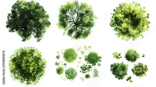 green grass isolated on white background, Set of watercolor tree top view for landscape plan and architecture layout  
