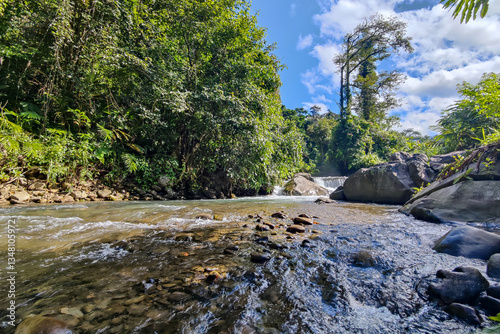 Obraz na płótnie Beautiful nature deep jungle river in Sabah Malaysian Borneo w salonie
