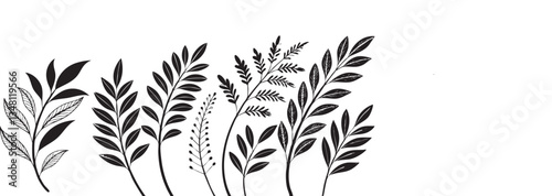 Elegant Botanical Foliage Illustration in Clipart – Black vector  Floral Leaves for Nature-Inspired Designs