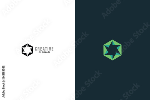 Hexagonal David Star Monogram, Modern Minimalist Symbol with two Color's Background. 