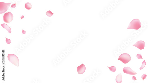 pring blossom isolated petals flying on transparent background. Wedding celebration eps. Pastel pink blossom petals