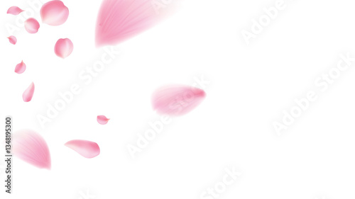 pring blossom isolated petals flying on transparent background. Wedding celebration eps. Pastel pink blossom petals