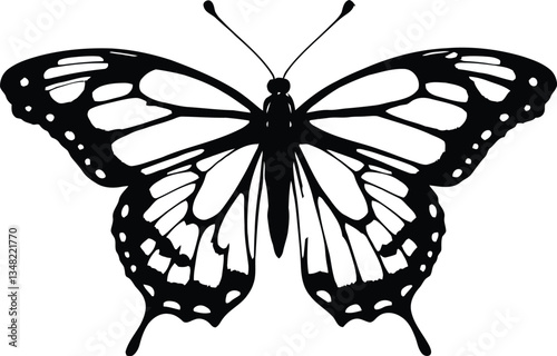 Butterfly silhouette eps transparent black and white