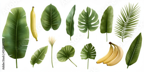 Unique icon set of cute watercolor tropical leaf illustrations on white background for nature lovers