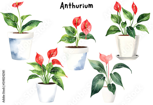 Fototapeta Naklejka Na Ścianę i Meble -  Watercolor Anthurium, Flamingo Flower in a Pot Isolated on Transparent Background – Set, Indoor Plants, Home Plant in Pots, Floral Design Element, Perfect for Invitations, Cards, Prints, Posters