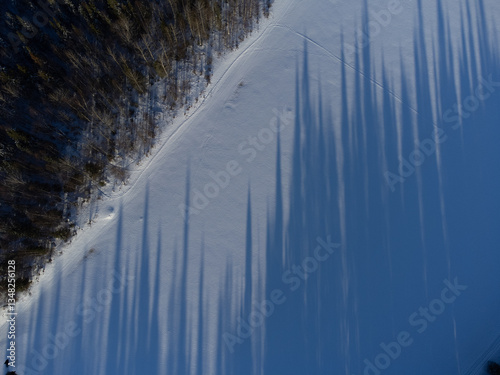 Принти на полотні Long Tree Shadows, Saariselka Finland