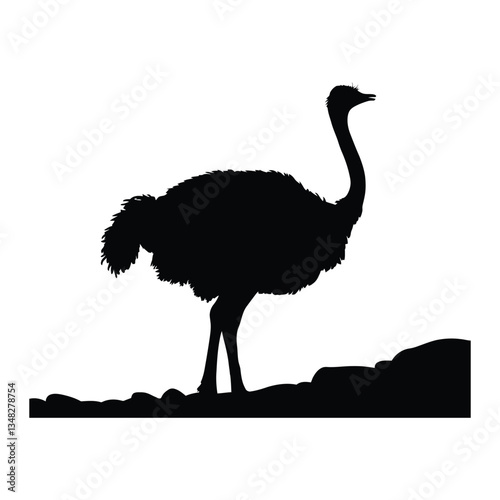 Ostrich Silhouette, Vector, Icon, Logo, White Background.