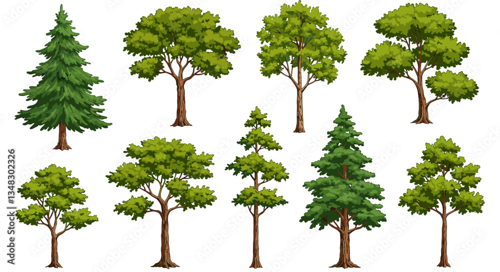 Fototapeta premium Pine Trees in Grid Layout