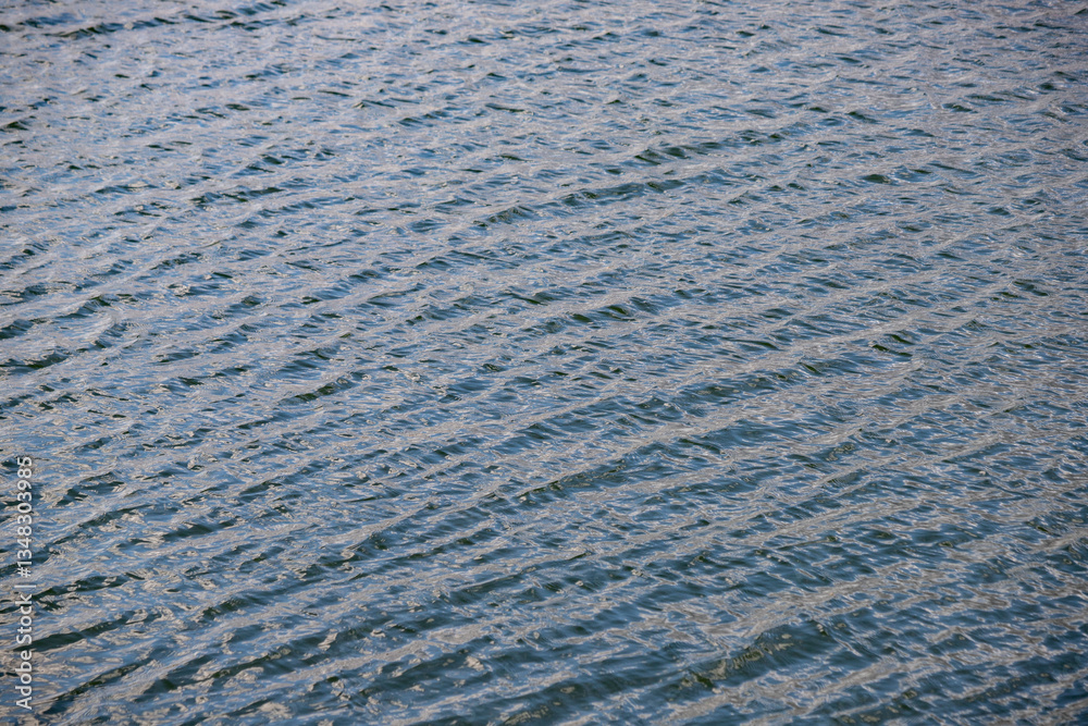 The water is calm and still, with ripples forming on the surface The water is calm and still, with ripples forming on the surface