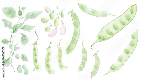 Watercolor Pea Pods and Leaves: A Delicate Botanical Illustration