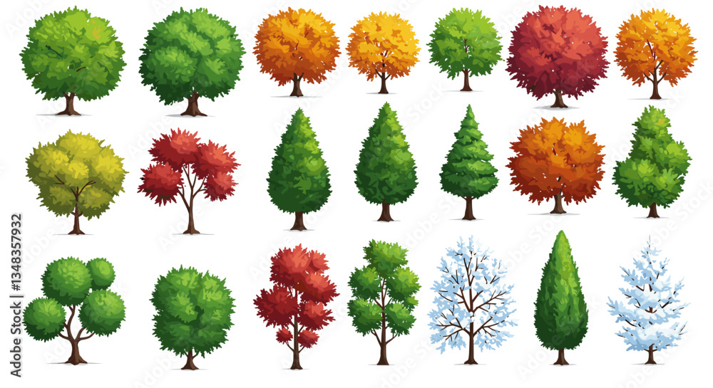 Fototapeta premium Seasonal Deciduous and Evergreen Trees Collection