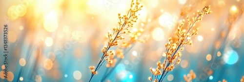 Golden wild grass stalks glowing in the warm sunlight of a meadow at sunset with a soft blue bokeh background.