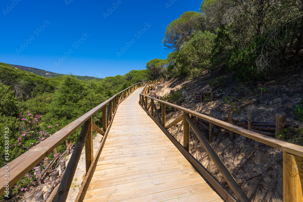 Arco Atantico, Pinar El Chaparral, Parque Natural del Estrecho, Arco Atantico, Pinar El Chaparral, Parque Natural del Estrecho,