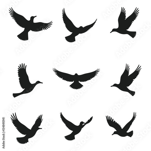 A dynamic collection of bird silhouettes, each in graceful flight. The stark contrast emphasizes form and movement against a clean, bright background.
