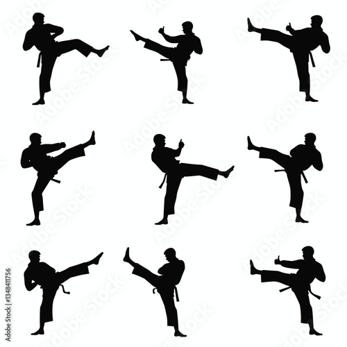 Silhouetted figures in karate poses. Action shots showing the stances and precision of martial arts, perfect for posters or martial arts content.
