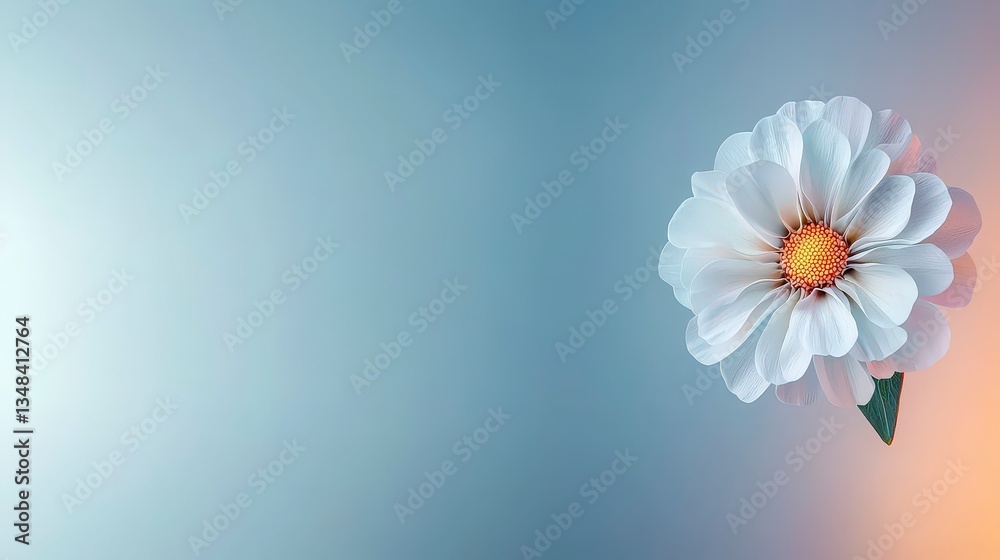 Fototapeta premium Serene White Flower Pastel Background Soft Glow High Resolution Image