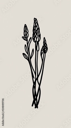 High quality illustration of Artistic asparagus line art in black, simple and modern --chaos 10 --ar 9:16 --style raw --stylize 10 --v 6.1 Job ID: 9e47c211-d7e0-4668-b856-27aa690419bf