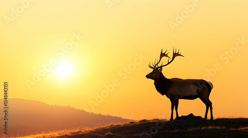 Elk Silhouette At Golden Sunrise Landscape