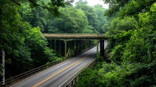 Concrete Bridge Over Asphalt Road Through Lush Green Forest During Daylight