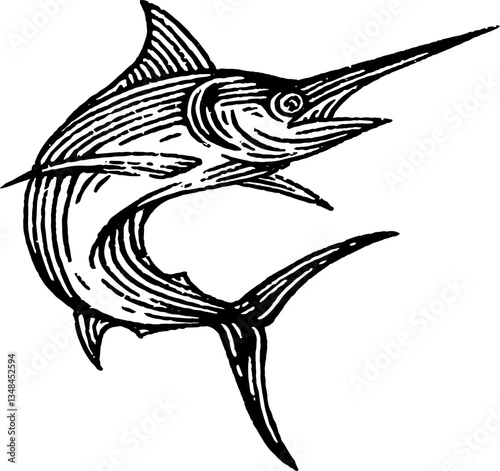 Marlin Fish Jump Hand Drawn Illustration Isolated