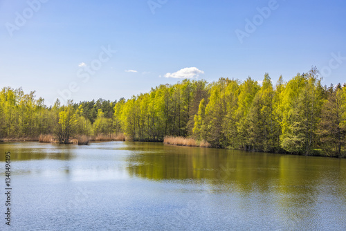 Beautiful landscape view at a lake with lush green trees