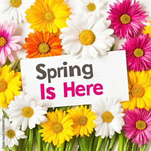 Spring Is Here Text Paper on Colorful Gerbera Floral Background.