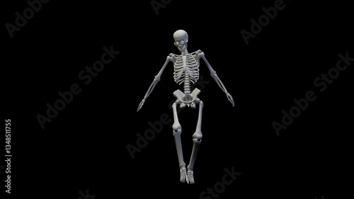 Fun seamless looped animation of a dancing skeleton