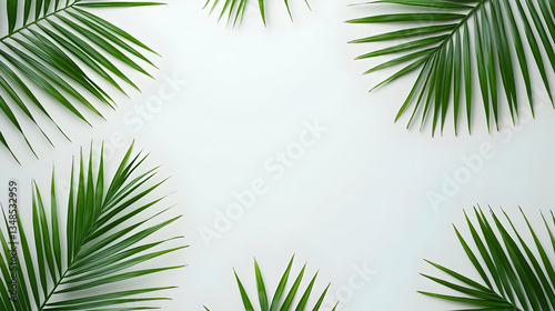 Arrangement Of Green Palm Leaves On White Background