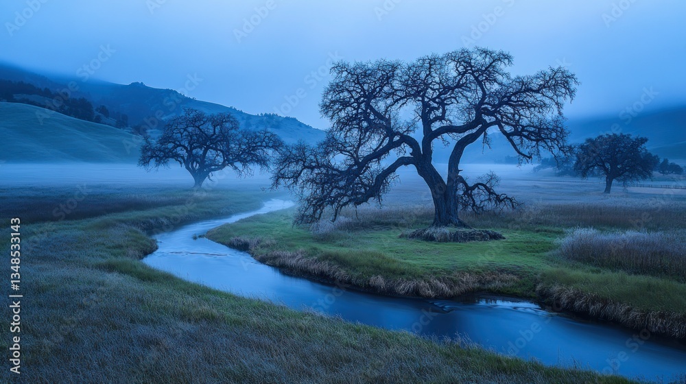 Obraz premium Three trees standing along a winding river in a hazy landscape
