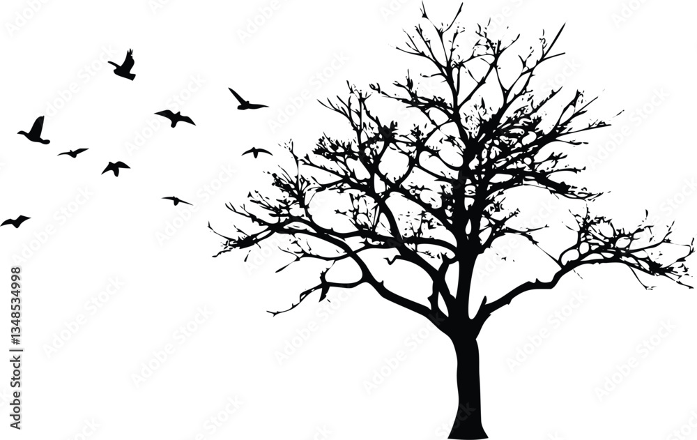 Fototapeta premium Silhouette Leafless Tree With Birds in Flight Against White Background Isolated Black