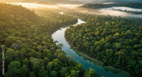 Aerial view of a winding river surrounded by lush forest