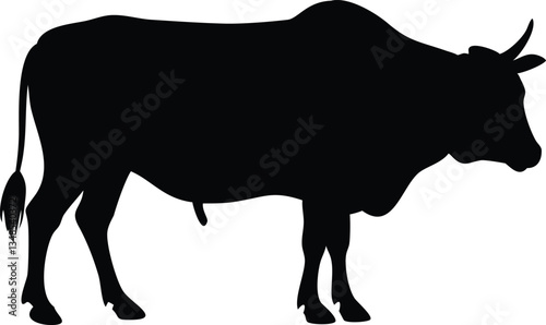 Silhouette of Zebu Bull with Horns and Bushy Tail in Black Outline