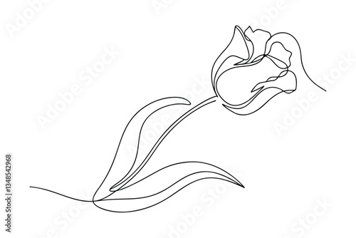 Elegant SingleLine Drawing of a Delicate Spring Tulip Flower