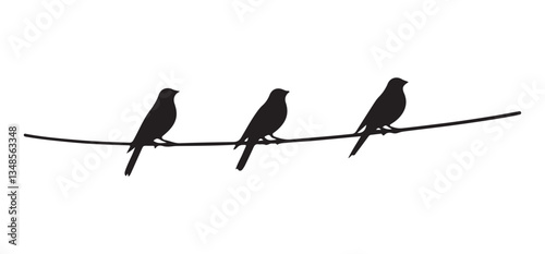 Silhouette of three birds perched on a power line vector