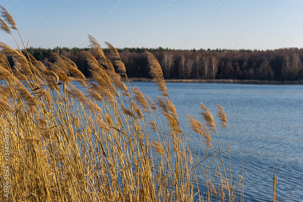 Wiosna nad Stawami Dojlidzkimi, Podlasie, Polska