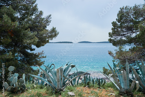 Fototapeta Naklejka Na Ścianę i Meble -  A scenic view of a calm sea with a small island in the distance, framed by lush greenery and agave plants in the foreground.