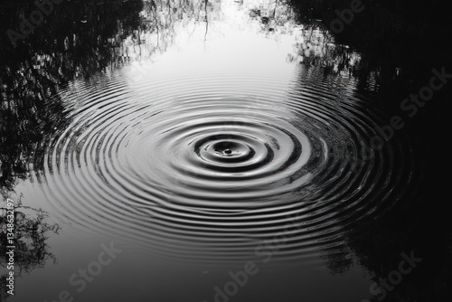 Abstract Water Ripples Texture Background White Summer High Contrast Black and White Photography