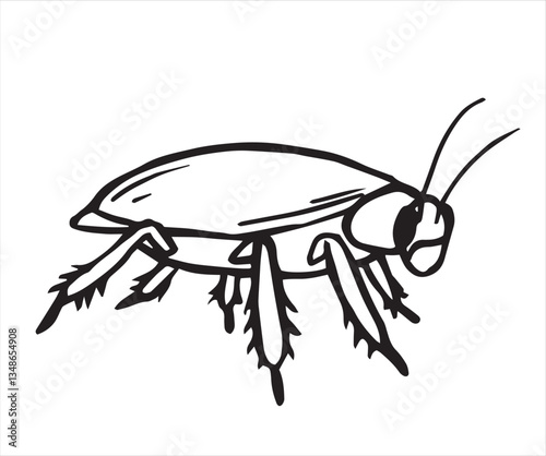 insect cockroach. vector illustration in sketch style.
