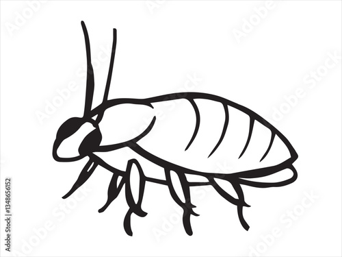 insect cockroach. vector illustration in sketch style.