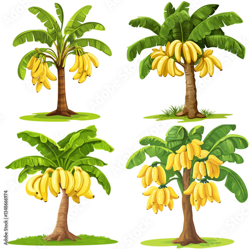 Cartoon banana tree with yellow bananas on white background