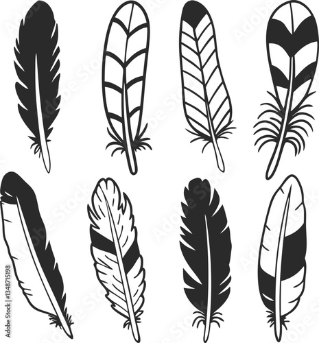 Set of Black Feather Illustrations Featuring Various Shapes And Sizes