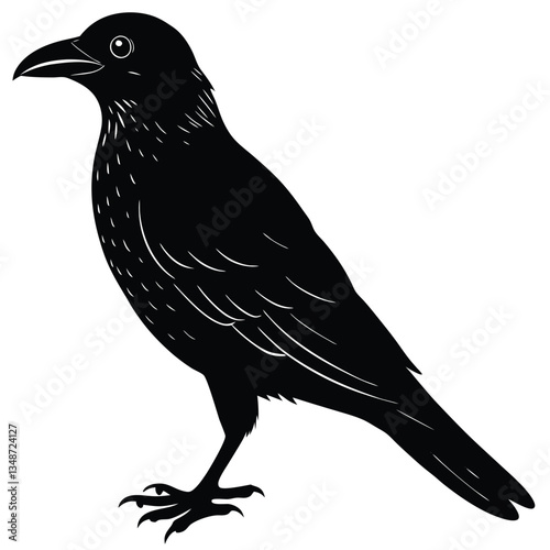 Vector, isolated black silhouette bird, crow collection, crow silhouettes, Raven bird logo vector template, Black silhouette of a crow on an isolated background,crow isolated on white, crow vector.